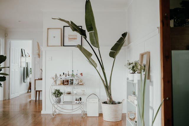 Naturalny urok wiklinowych doniczek w praktyce